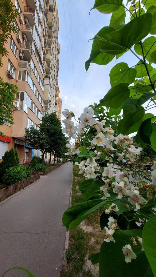 Просторі Апартаменти كييف المظهر الخارجي الصورة